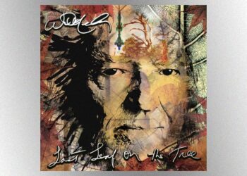 willie-nelson-shares-cover-of-the-flaming-lips’-“do-you-realize??”