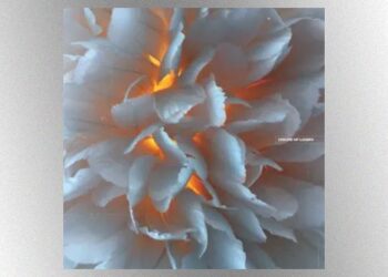 pearl-jam’s-stone-gossard-releases-new-song-‘the-message’-with-ani-difranco