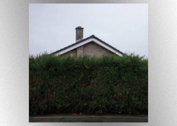 the-1975-releases-﻿’still…-at-their-very-best’﻿-live-album