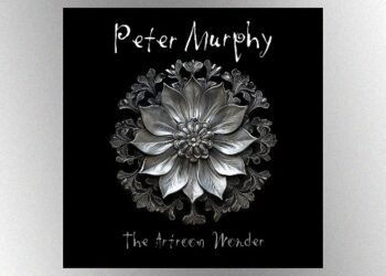 tool’s-justin-chancellor-featured-on-new-peter-murphy-song,-‘the-artroom-wonder’
