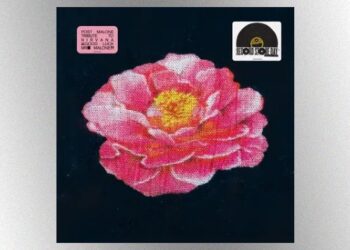 post-malone’s-nirvana-tribute-performance-leads-list-of-best-selling-rsd-2025-albums