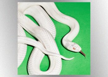 deftones-premiering-‘my-mind-is-a-mountain’-video-tuesday