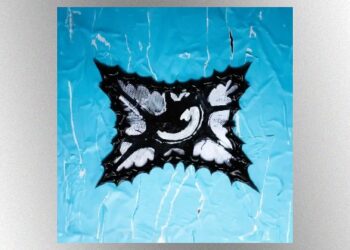 don’t-‘blink’-and-miss-white-reaper’s-new-song