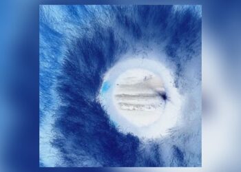 the-wombats-share-new-song,-‘holy-sugar,’-off-upcoming-deluxe-album