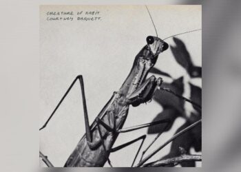 courtney-barnett-conquers-writer’s-block-with-‘joyful’-new-album,-﻿’creature-of-habit’