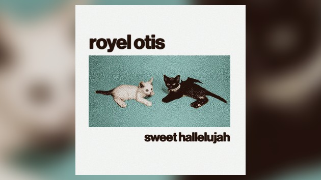 listen-to-new-royel-otis-song,-‘sweet-hallelujah’