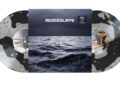 vinyl-reissue-of-audioslave’s-﻿’out-of-exile﻿’-announced