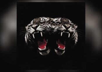 royal-blood-announces-new-album,-‘﻿dead-company’
