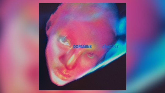 fontaines-dc.-details-upcoming-‘dopamine-chamber’-album